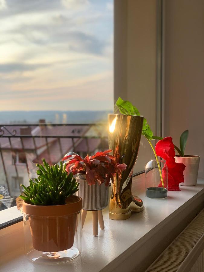 Apartament Lesny - Lesna 30 库多瓦-兹德鲁伊 外观 照片